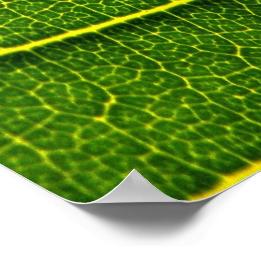 葉 ポスター (角)