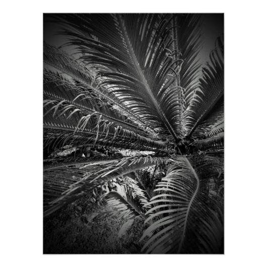 葉 ポスター (正面)