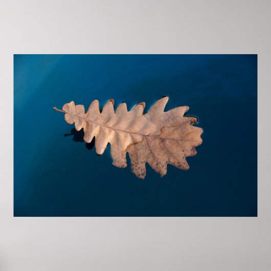 葉 ポスター (正面)