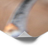 葉 ポスター (角)