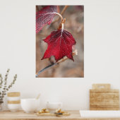 葉 ポスター (キッチン)