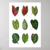 葉 ポスター (正面)