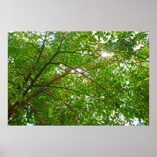 葉 ポスター (正面)