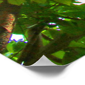 葉 ポスター (角)