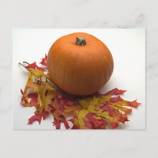 葉 ポストカード (正面)