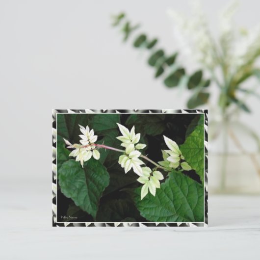 葉 ポストカード (スタンド正面)