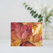 葉 ポストカード (スタンド正面)