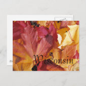 葉 ポストカード (正面/裏面)