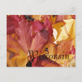 葉 ポストカード (正面)