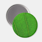 葉 マグネット (正面/裏面)