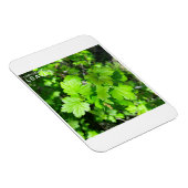 葉 マグネット (右側)