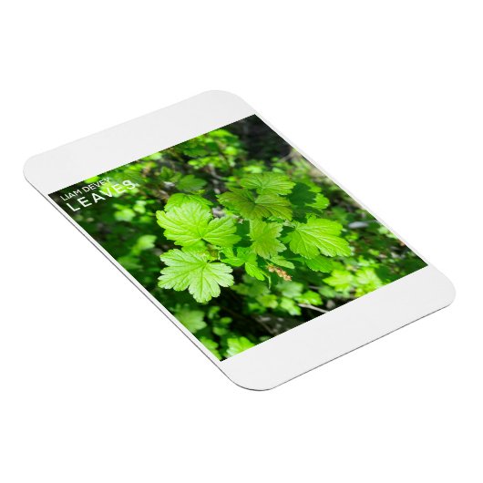 葉 マグネット (右側)