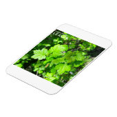 葉 マグネット (左側)