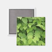 葉 マグネット (正面/裏面)