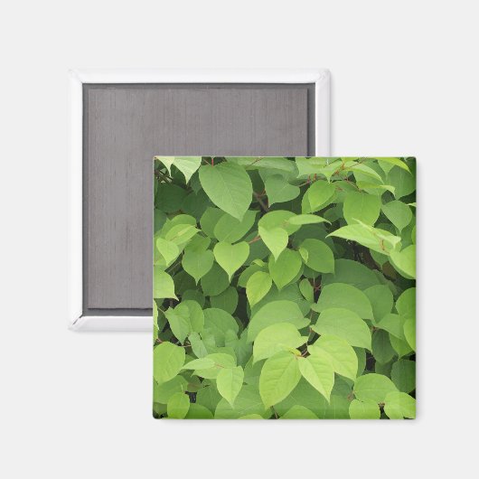 葉 マグネット (正面/裏面)