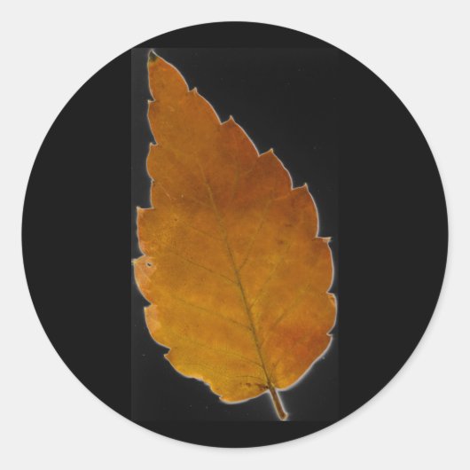 葉III ラウンドシール (正面)