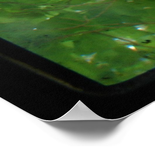 葉TTV ポスター (角)