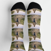 著者を信頼する ソックス (上部)