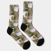 著者を信頼する ソックス (右)