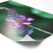 葛花桃色の紫色の花 フォトプリント            (角)