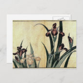 葛飾北斎の浮世絵プリント:アイリス ポストカード (正面/裏面)