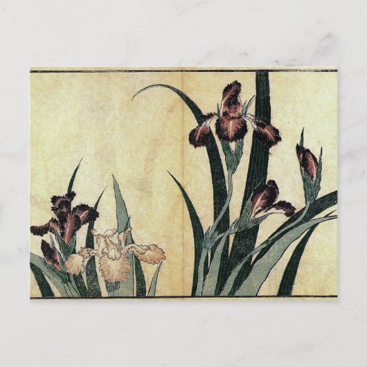 葛飾北斎の浮世絵プリント:アイリス ポストカード (正面)