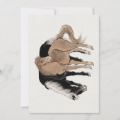 葛飾北斎の絵馬のアルバム 招待状 (正面)