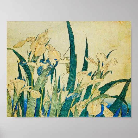 葛飾北斎開花のイリスとキリギリス ポスター (正面)