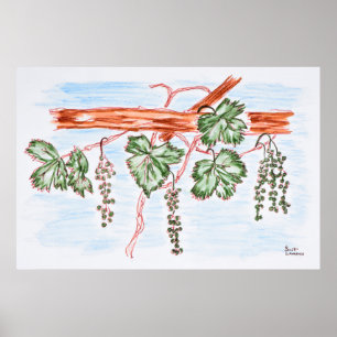 葡萄つる植物の水色 フランス ポスター