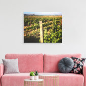 葡萄の中のジャグジーのブドウ キャンバスプリント (インサイチュ (リビング))