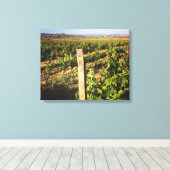 葡萄の中のジャグジーのブドウ キャンバスプリント (インサイチュ (ウッドフロア))