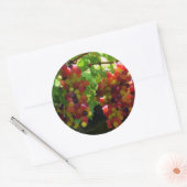 葡萄をつる植物 ラウンドシール (封筒)