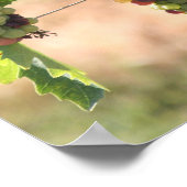 葡萄ポスター ポスター (角)