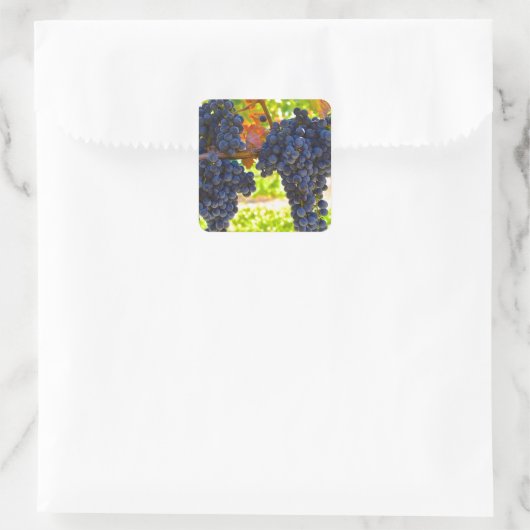 葡萄ワイン スクエアシール (バッグ)