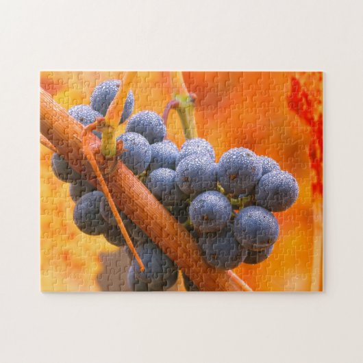 葡萄畑の熟したブドウ ジグソーパズル (横)