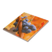 葡萄畑の熟したブドウ タイル (側面)