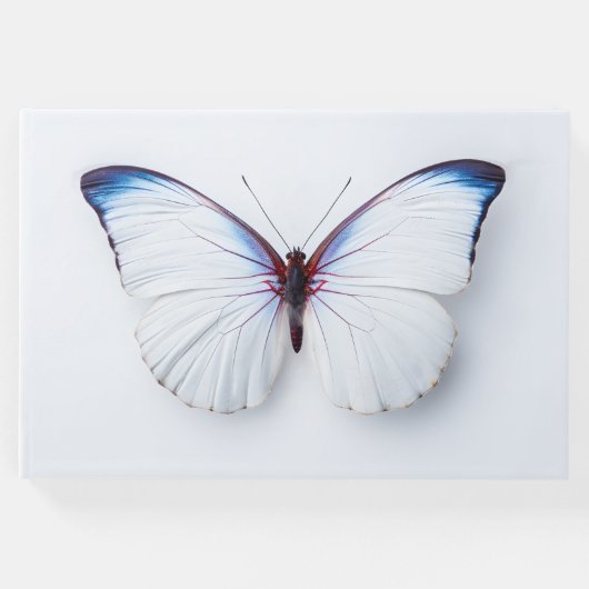 葬儀ゲストブックバタフライ ゲストブック (正面)