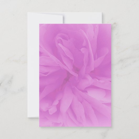 葬儀ピンクのソフトバラ写真ファミリーサンキューカード サンキューカード (裏面)