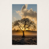 葬儀損失ローンツリー祈りの言葉同情カード (正面)