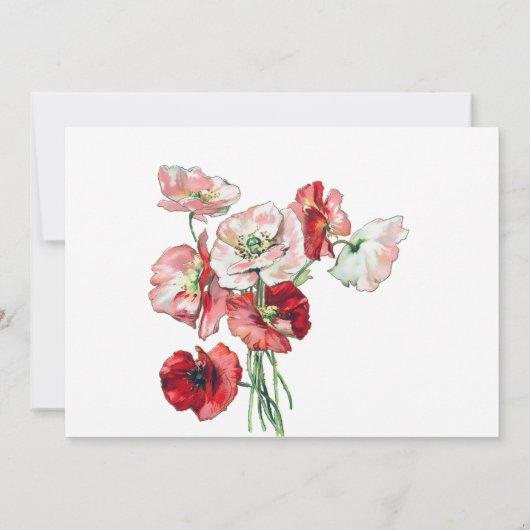 葬式の死別の水の色ポピーありがとう サンキューカード (裏面)