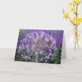 葱類かSalvia カード (黄色い花)