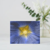 葵の花の美しい青はがき ポストカード (スタンド正面)