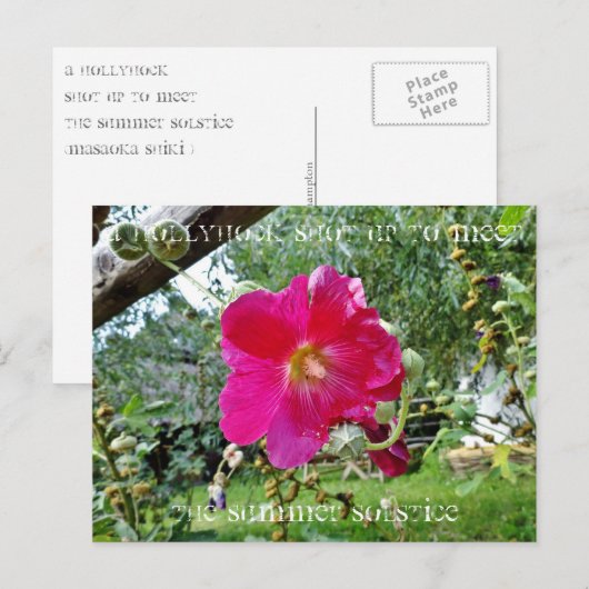 葵はがき ポストカード (正面/裏面)