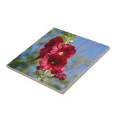 葵タイル タイル (側面)