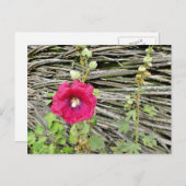 葵バイウクライナ伝統的フェンシング ポストカード (正面/裏面)