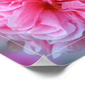 葵ピンクフラワーフォト引用文 ポスター (角)