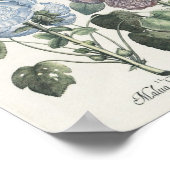 葵 ポスター (角)