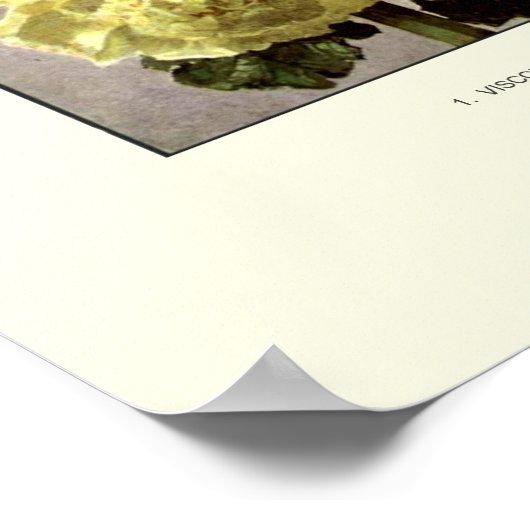 葵 ポスター (角)