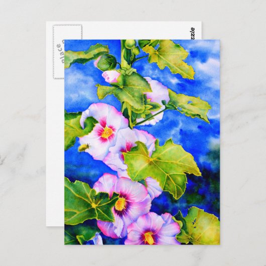 葵 ポストカード (正面/裏面)