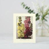 葵 ポストカード (スタンド正面)